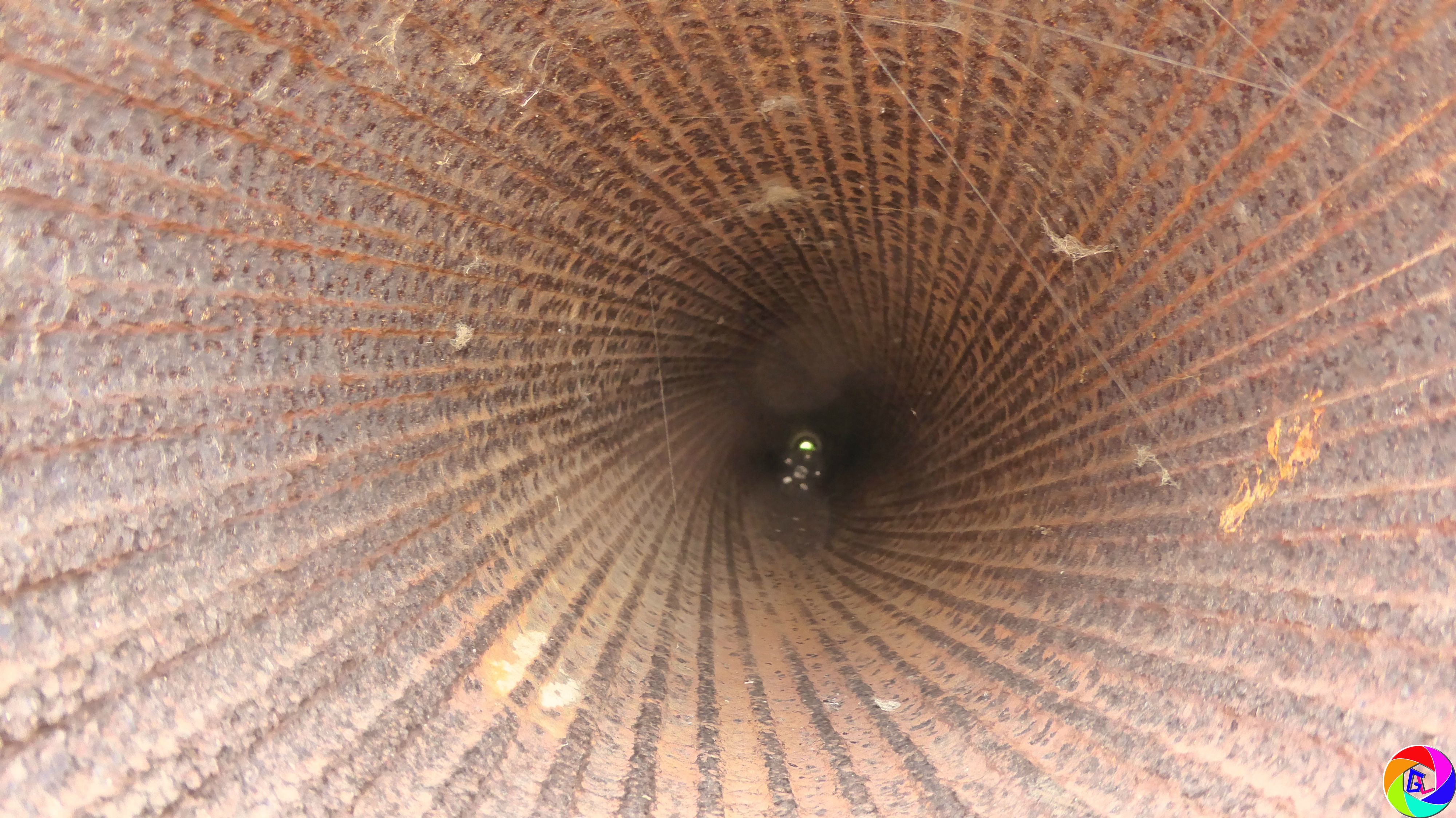 looking into a cannon
